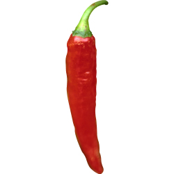 red pepper.jpg